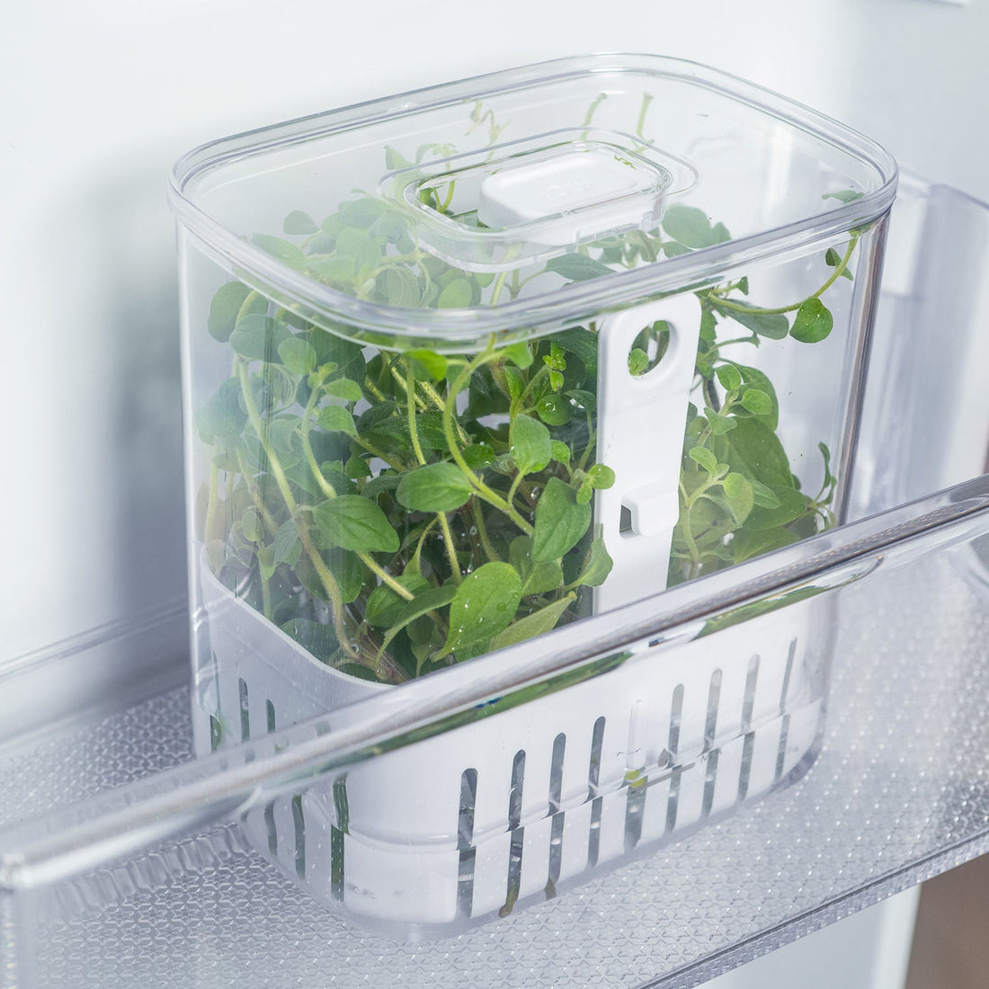Organizador de temperos 1,5L Linha Clear Fresh